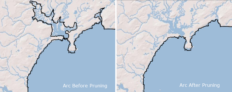 Prune arc example