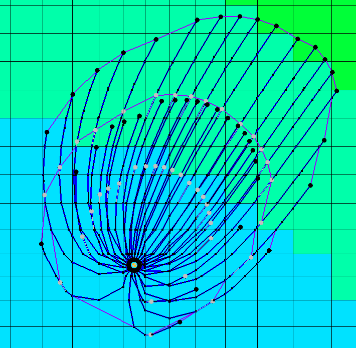 Example of pathlines generated by MODPATH