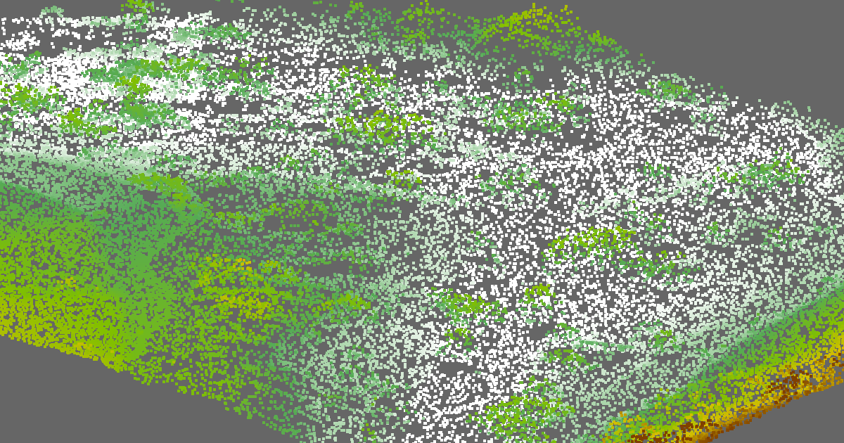 Example of LiDAR data imported into SMS