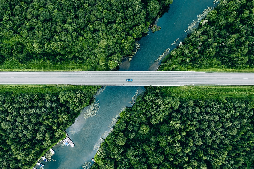 Riverine Environment